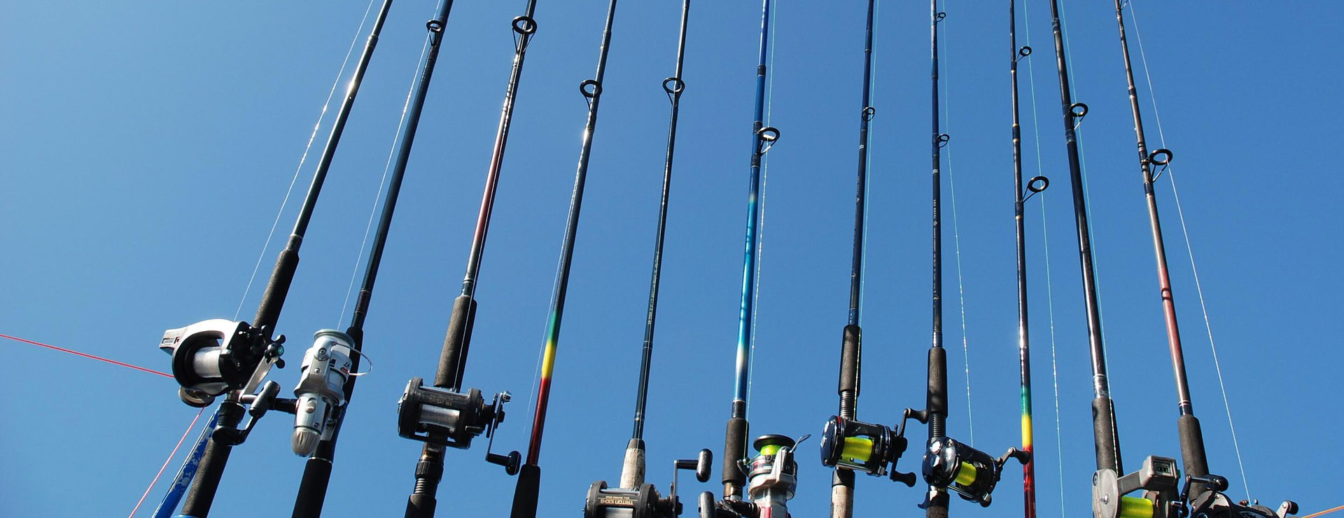 13 Fishing 3 13 Fishing -13 Fishing a fishing rod 525394 1920